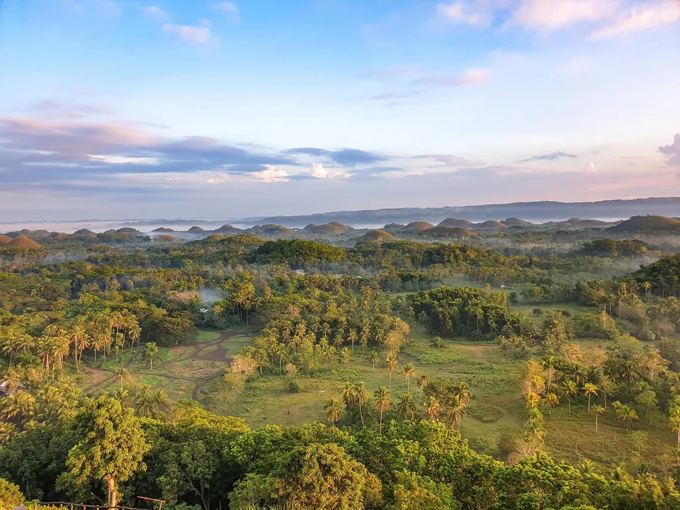 Palm trees, green fields and patches of mist stretch towards rows of rounded hills beneath a pale blue sky.