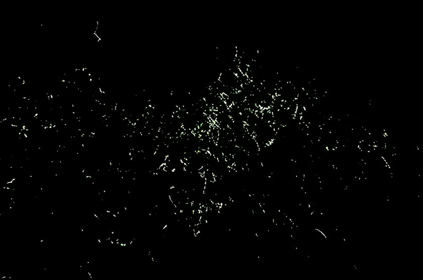 Many tiny points and short streaks of pale light appear against an almost black background.