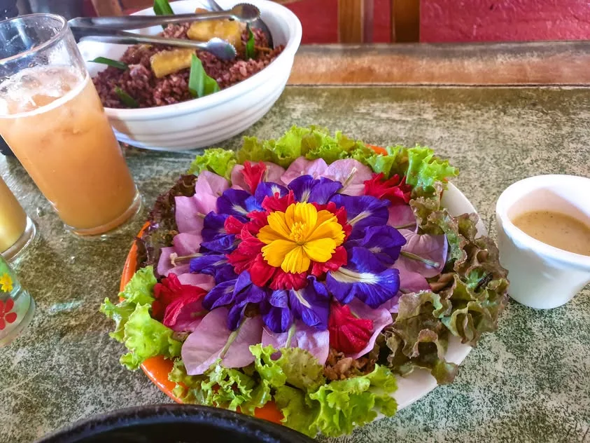 Purple, pink, red and yellow flowers cover a lettuce salad beside an orange-coloured drink, rice and a small bowl of sauce.