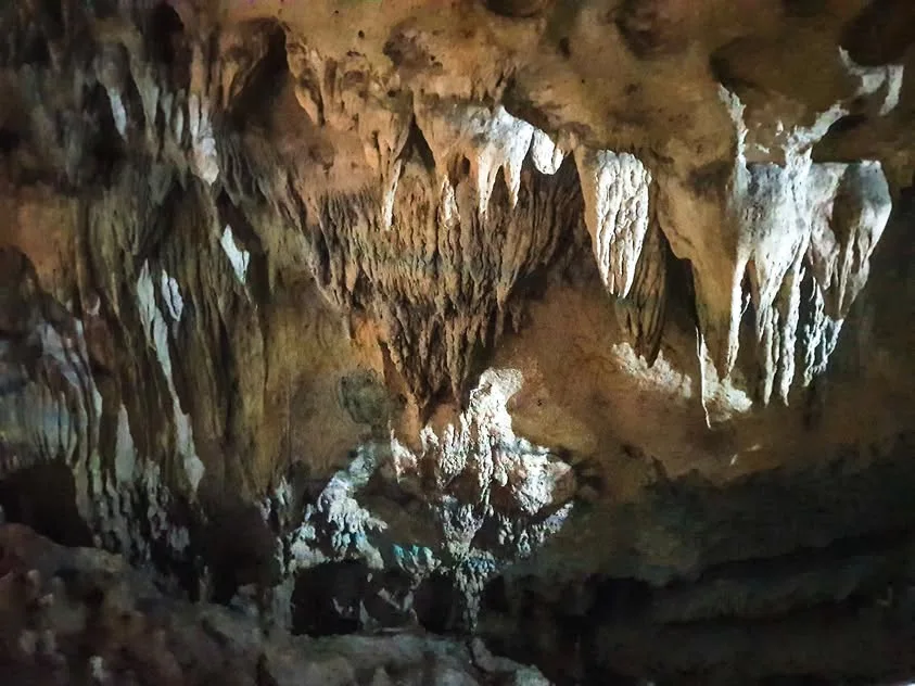 Pale pointed rock formations hang from a rough brown cave ceiling.
