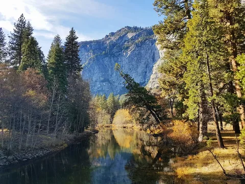 A calm river reflects trees beneath Yosemite’s steep granite cliffs.