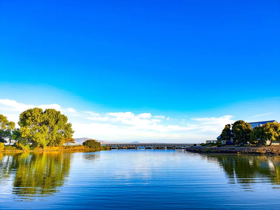 Trees and a wooden walkway border calm blue water along San Francisco Bay in Burlingame.