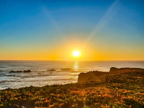 The sun hangs over the Pacific Ocean above rocky cliffs and low coastal plants.