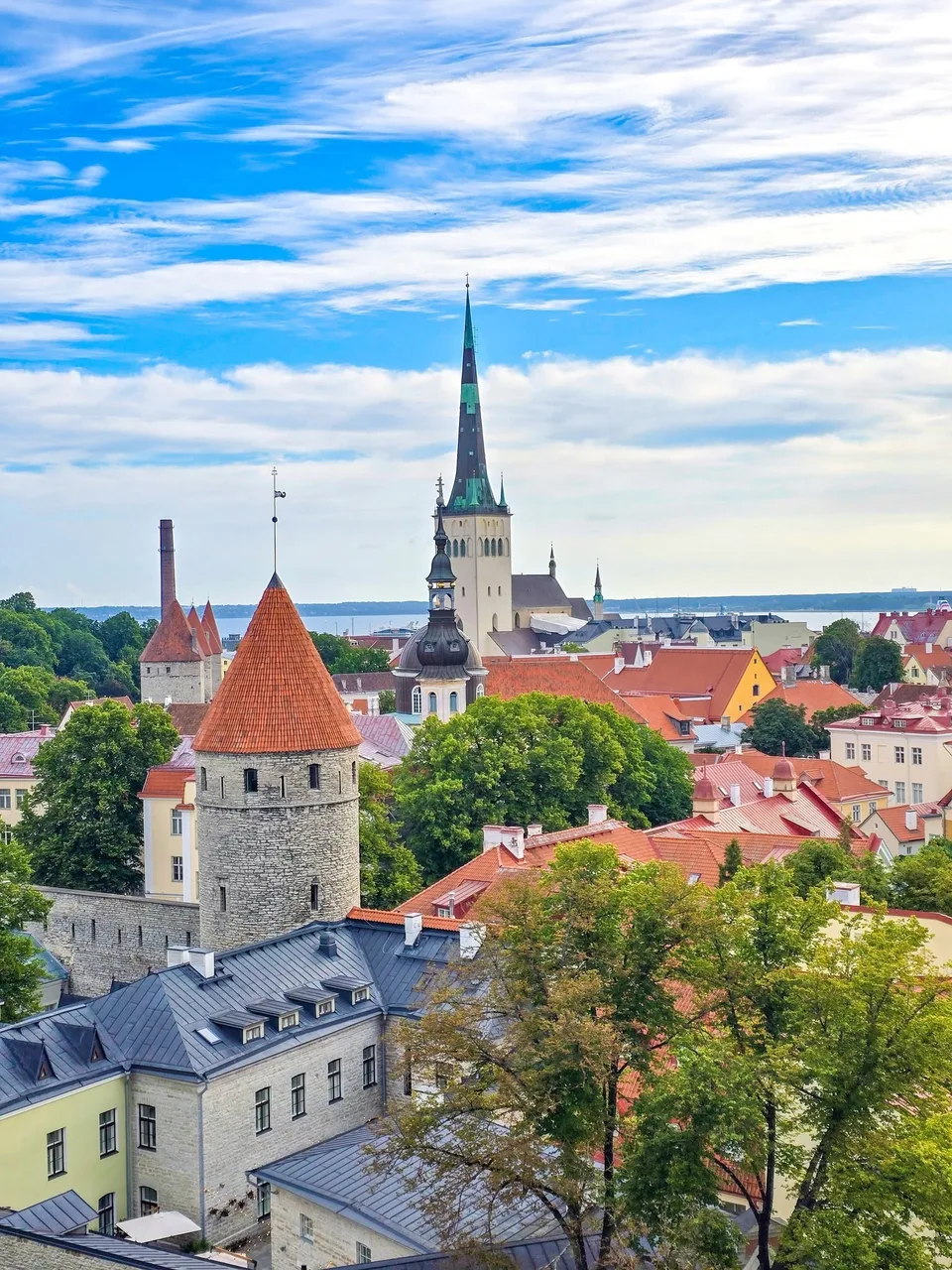 Red roofs, stone towers and a green-tipped spire overlook trees and the sea in Tallinn Old Town.