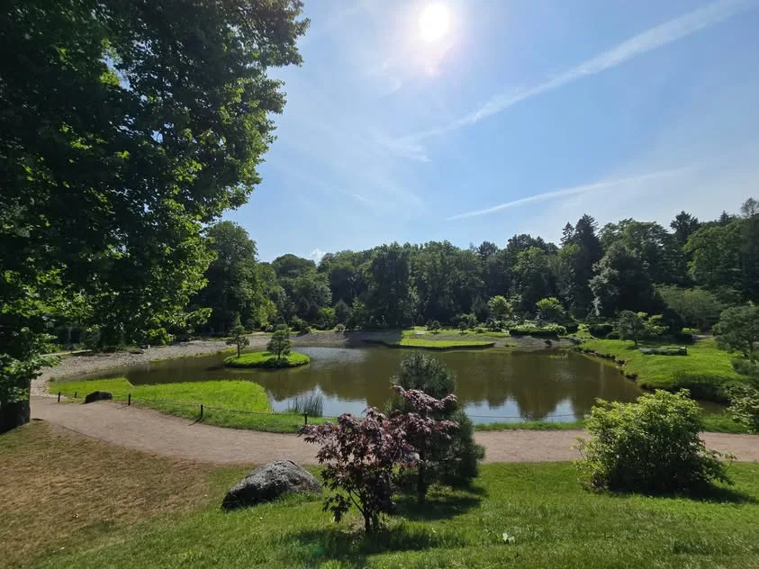 A pond and small planted island sit beneath trees and bright sunlight.