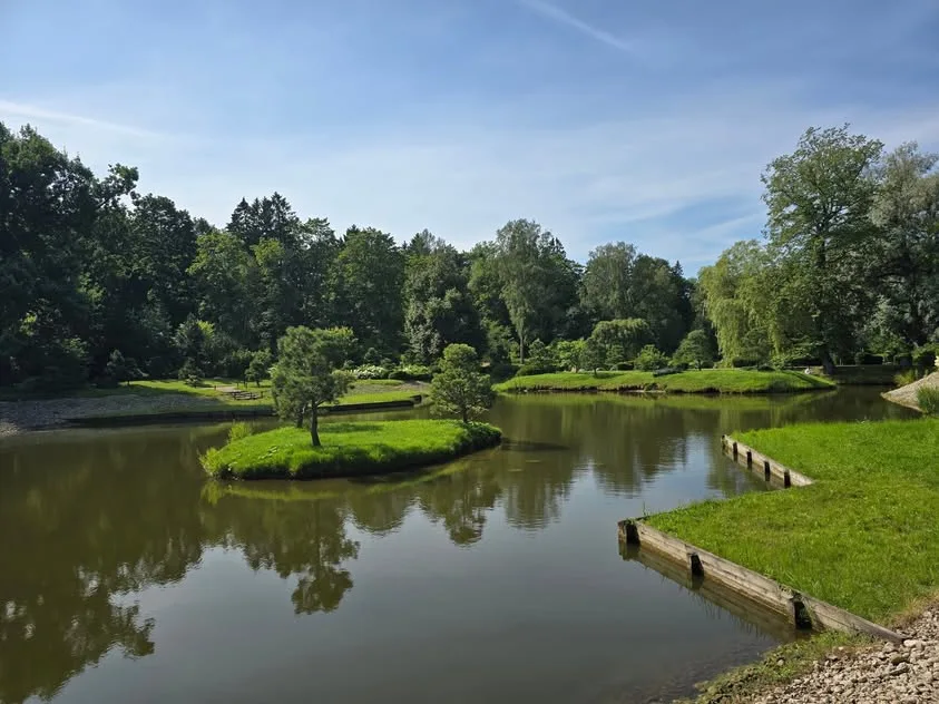 A garden pond reflects trees and planted green banks, with small islands and timber edging.