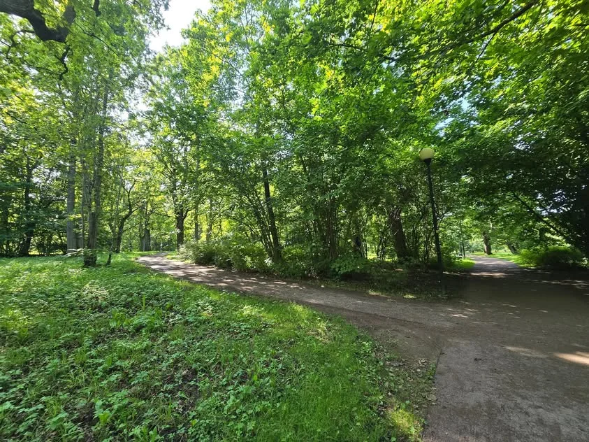 Gravel paths branch beneath leafy trees and a tall park lamp.