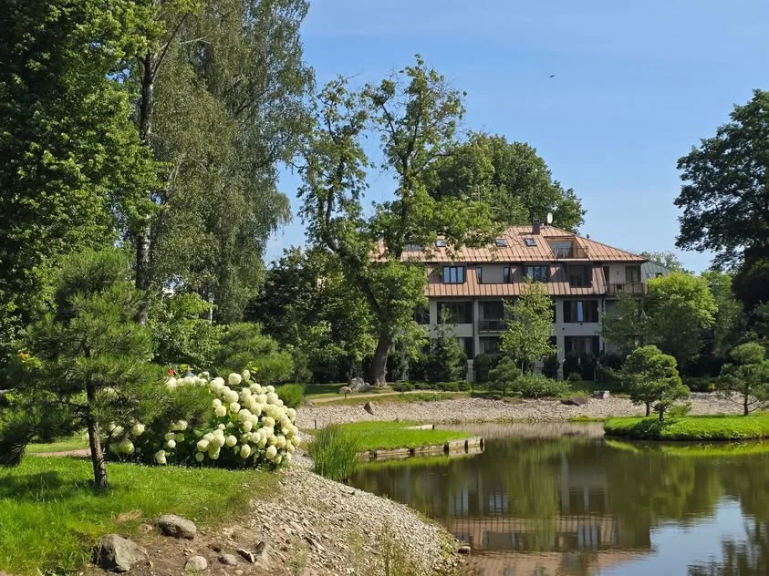 White hydrangeas surround a pond reflecting a brown-roofed building.