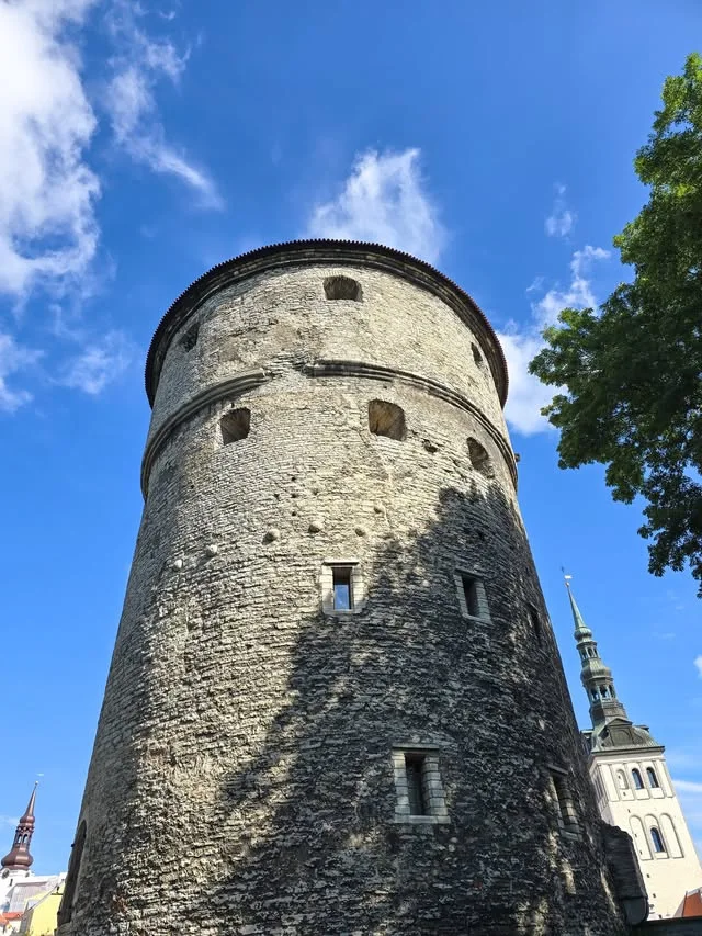 A round stone tower rises beside trees and a church spire.