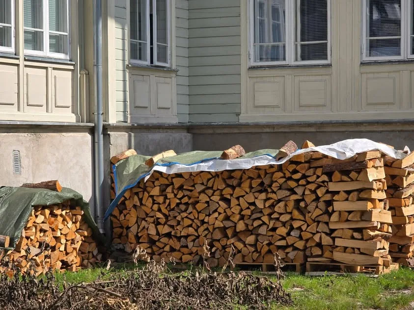 Split firewood is stacked beneath covers along a wooden wall.