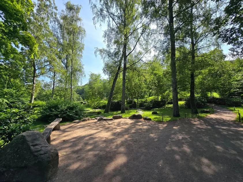 A path curves between boulders, benches and birch trees.