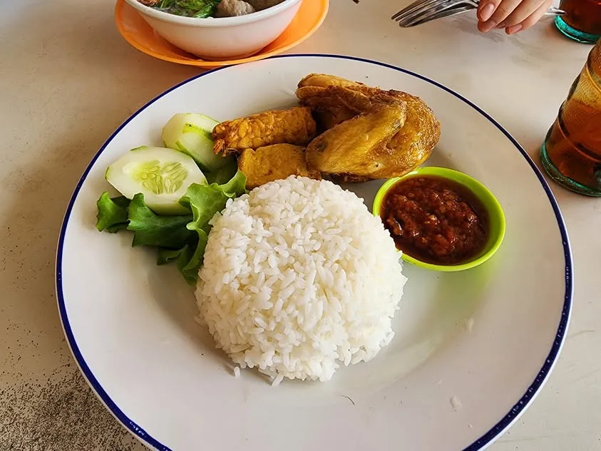 Chicken, white rice, cucumber, tofu and tempeh are served with a small bowl of red sauce.