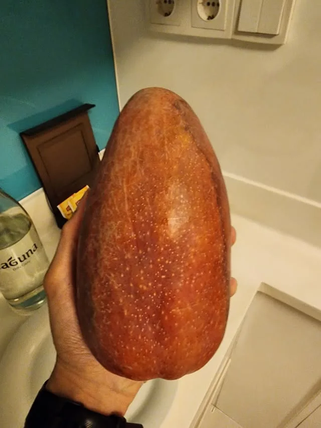 A large red-brown mango fills an outstretched hand.