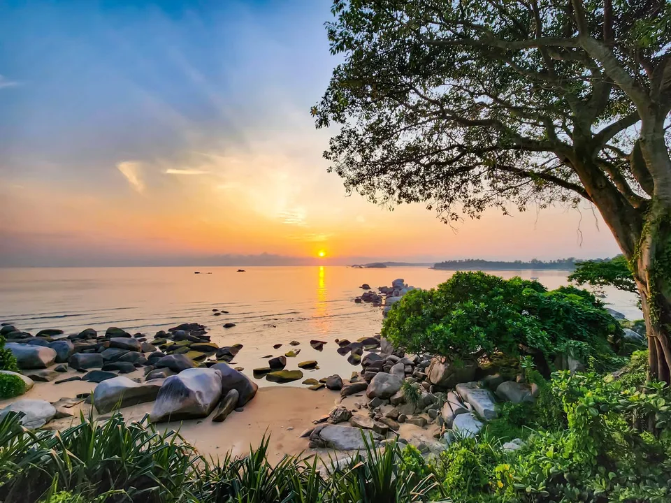 The low morning sun shines across calm water towards a rocky beach shaded by a large tree.