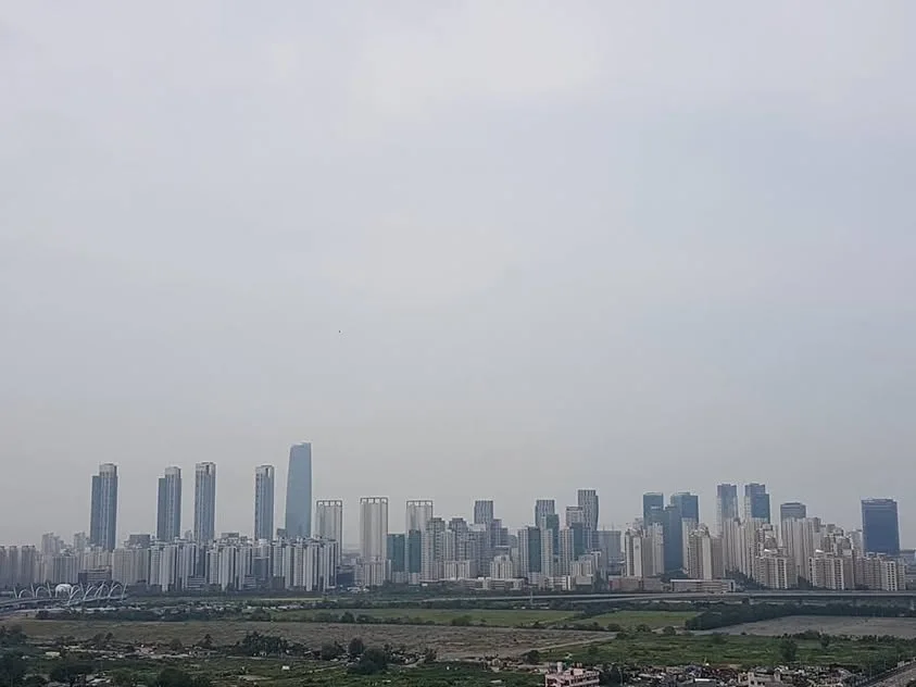 A hazy line of high-rise buildings stretches across the horizon beyond open land.