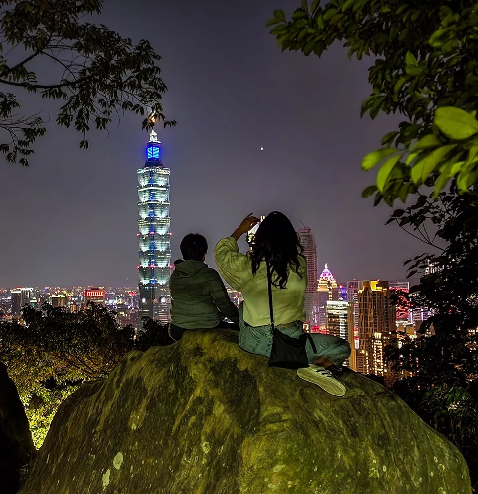 Two people seen entirely from behind sit on a boulder beneath tree branches facing illuminated Taipei 101 and the night skyline.