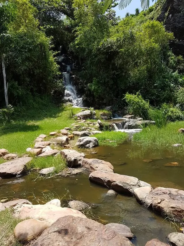 A narrow cascade tumbles between dark rocks and leafy plants beneath shade.